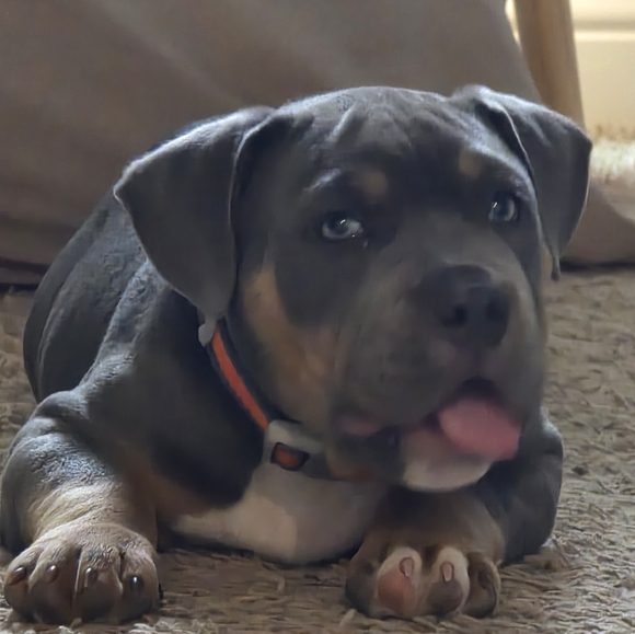 Meet your Posher, Laura - Picture 11 of 16